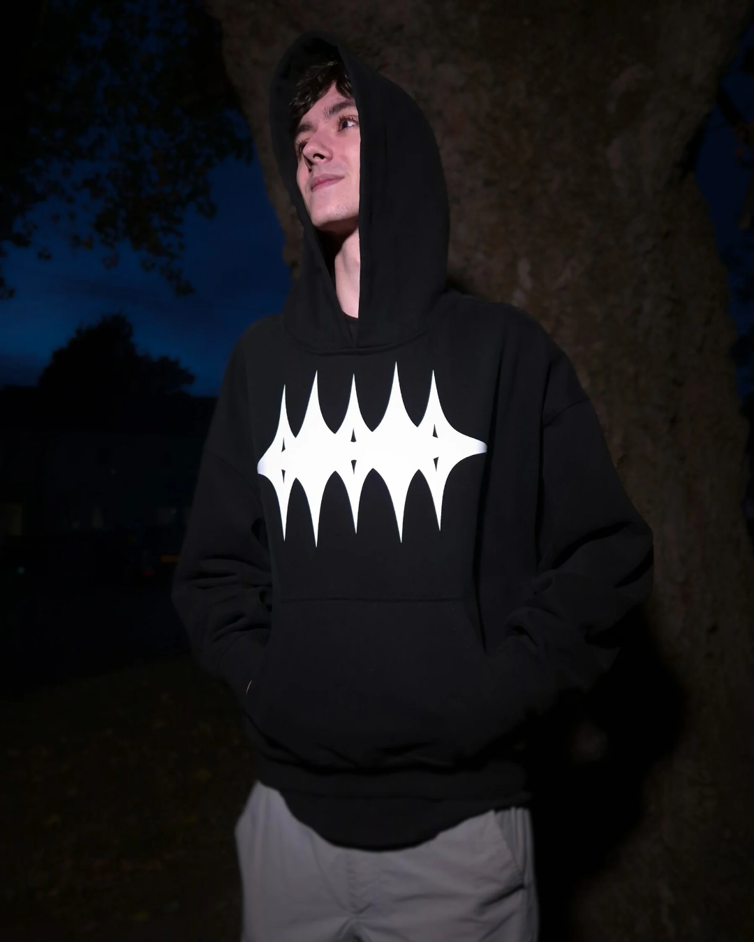 "Infinitely Capable" Unisex Premium Heavyweight Hoodie (PRE ORDER)